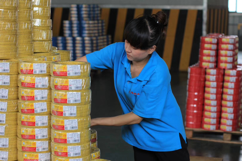 起帆電線 一線 起帆電線 一線